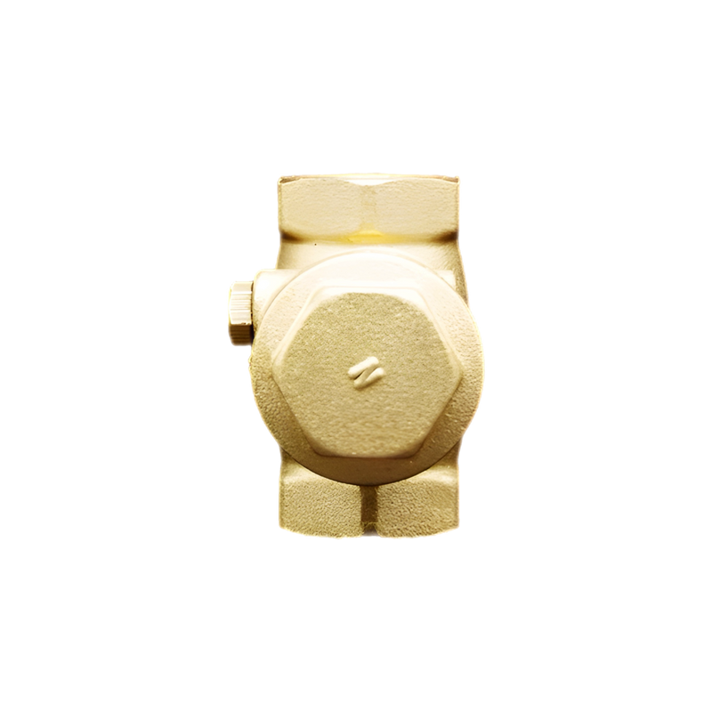 Brass Check Valve 1/2 in. x 1/2 in. - PLX-2A1-300