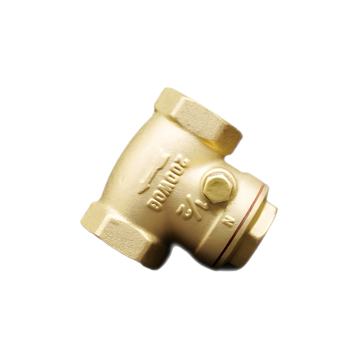 Brass Check Valve 1/2 in. x 1/2 in. - PLX-2A1-300