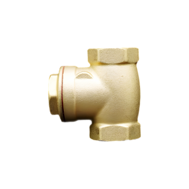 Brass Check Valve 1/2 in. x 1/2 in. - PLX-2A1-300