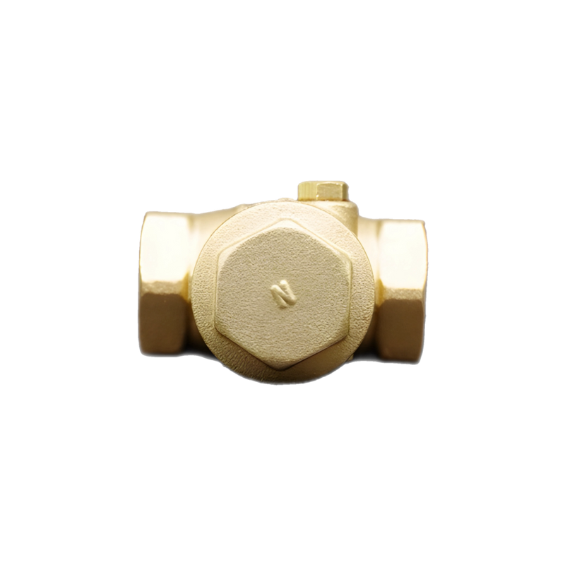 Brass Check Valve 1/2 in. x 1/2 in. - PLX-2A1-300