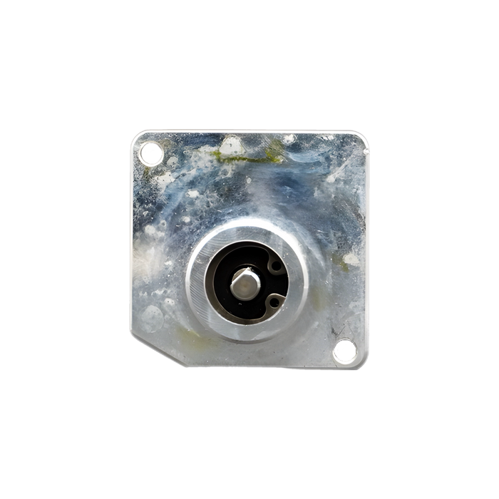 Fuel Pump, Webasto (DBW2010) - WPX-502-05A