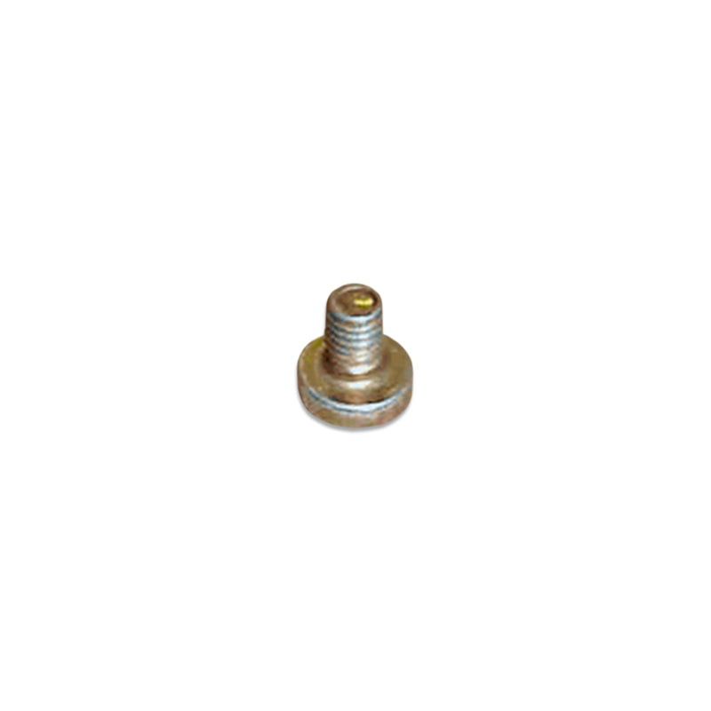 Photo Disc Screw, Webasto (DBW2010) - WPX-147-699